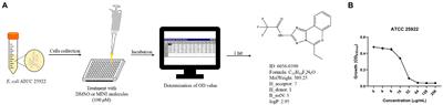 Identification of a small molecule 0390 as a potent antimicrobial agent to combat antibiotic-resistant Escherichia coli